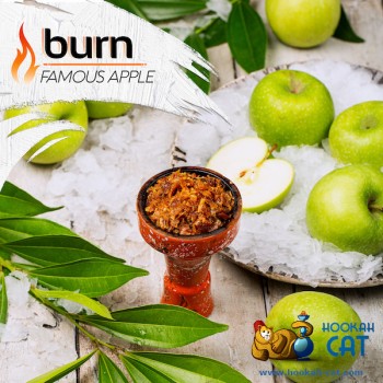 Заказать кальянный табак Burn Famous Apple (Берн Яблоко) 100г онлайн с доставкой всей России - фото 1